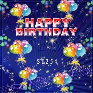 5'x8' ST254